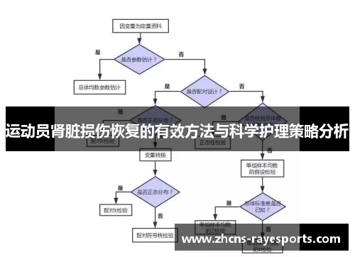 运动员肾脏损伤恢复的有效方法与科学护理策略分析